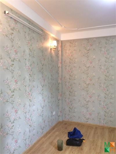 Thi công giấy dán tường hoa lá màu xanh